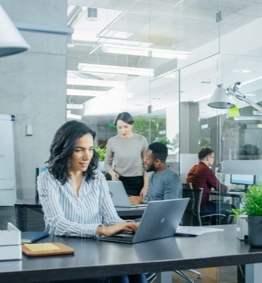 International law firm 